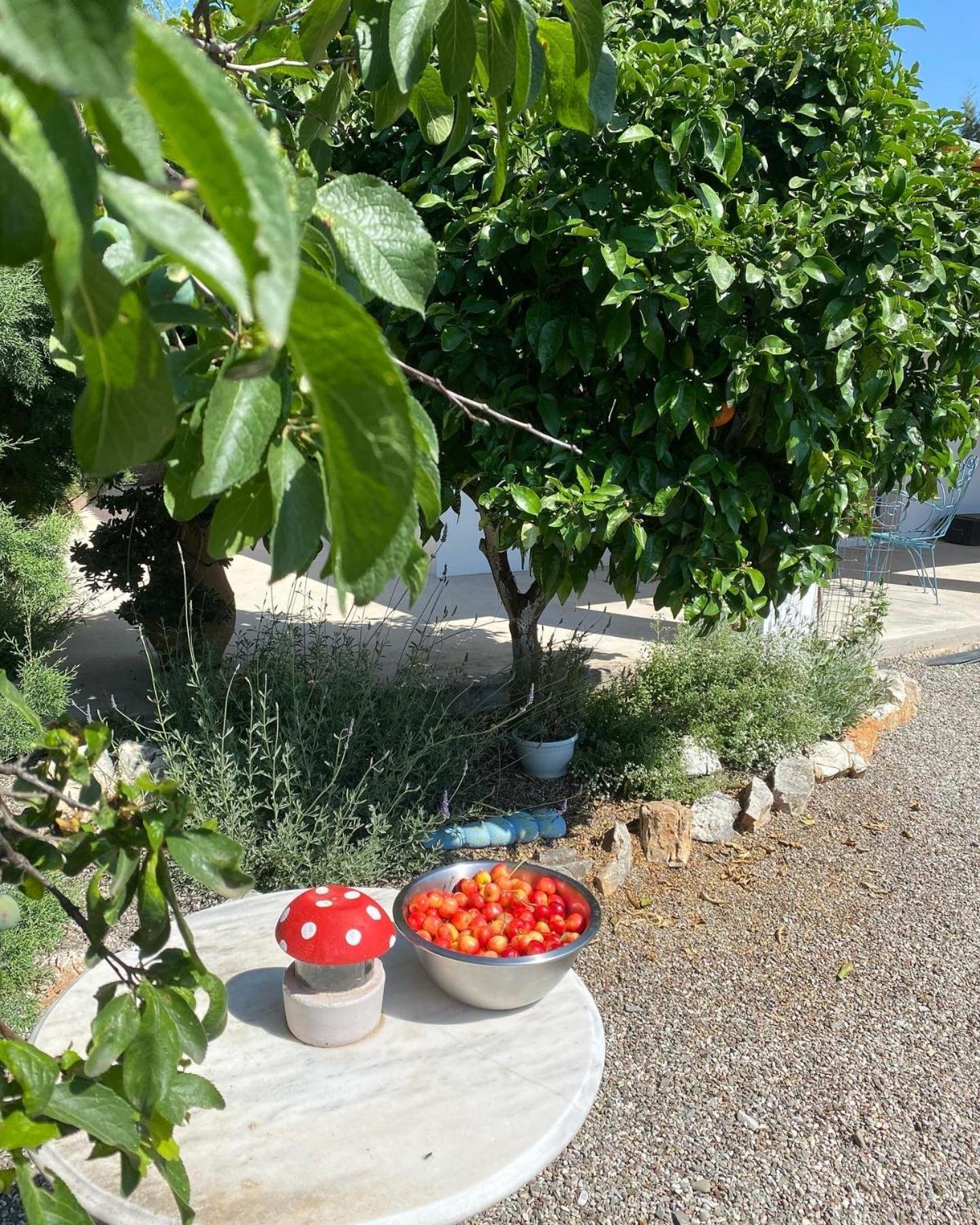 Lavender Farm House Nafpaktos Exterior foto